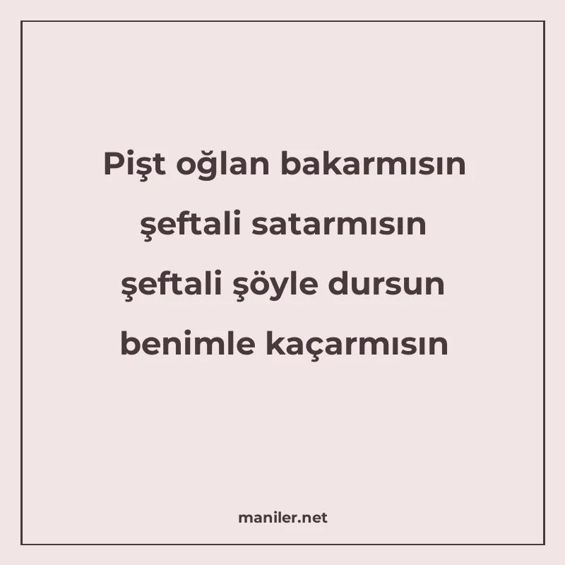 Pişt oğlan bakarmısın şeftali satarmısın şeftali şöyle dursu manisi görseli
