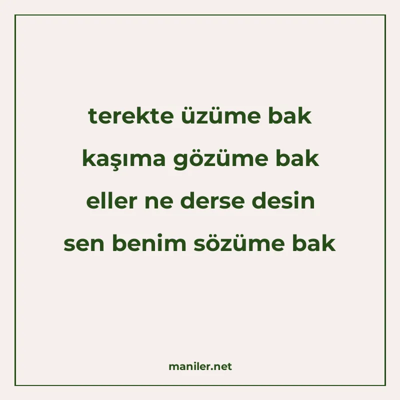 terekte üzüme bak kaşıma gözüme bak eller ne derse desin sen manisi görseli