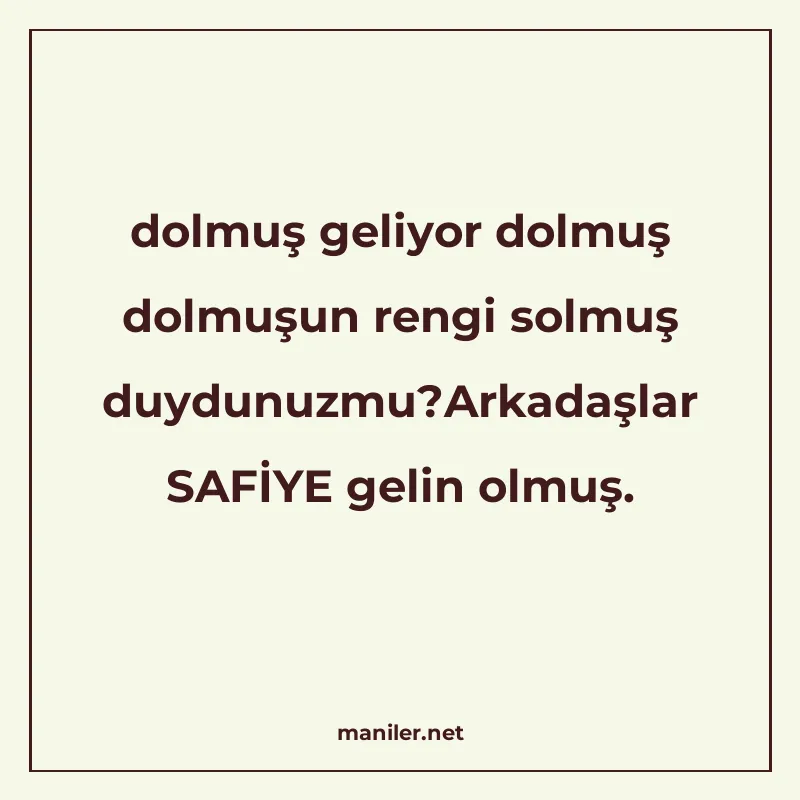 dolmuş geliyor dolmuş dolmuşun rengi solmuş duydunuzmu?Arkad manisi görseli