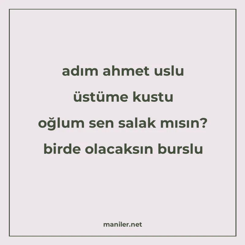 adım ahmet uslu üstüme kustu oğlum sen salak mısın? birde ol manisi görseli