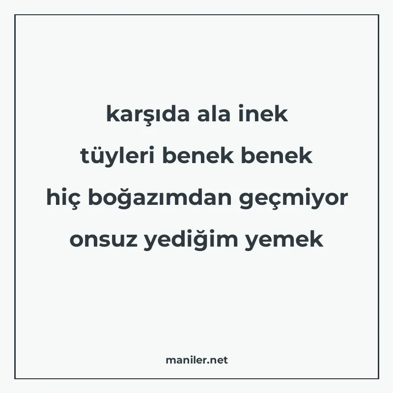 karşıda ala inek tüyleri benek benek hiç boğazımdan geçmiyor manisi görseli