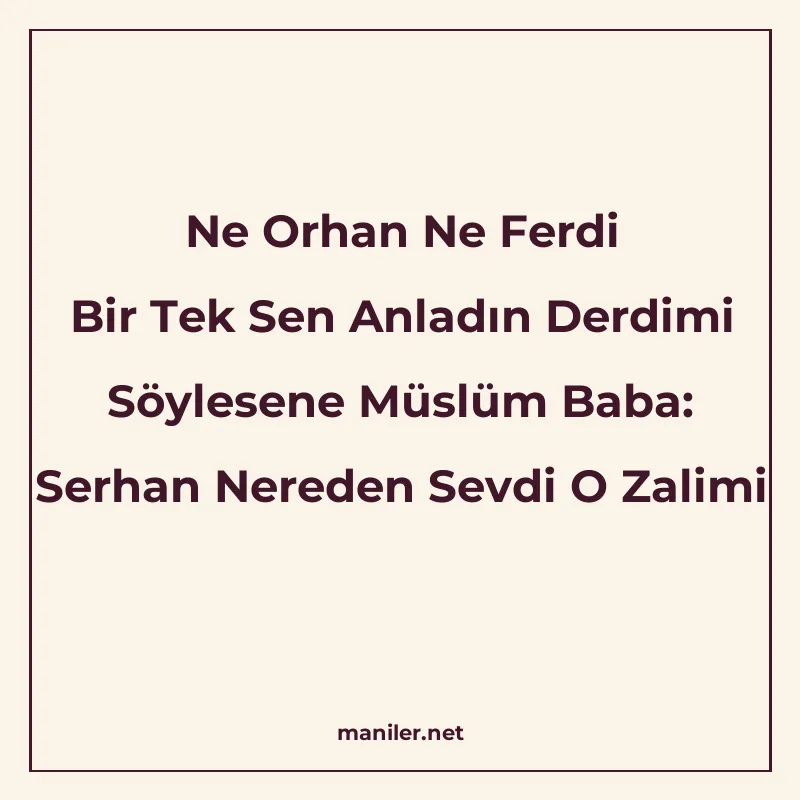 Ne Orhan Ne Ferdi Bir Tek Sen Anladın Derdimi Söylesene Müsl manisi görseli