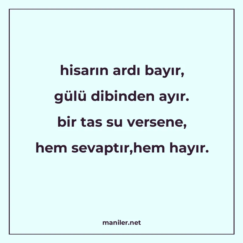 hisarın ardı bayır, gülü dibinden ayır. bir tas su versene manisi görseli