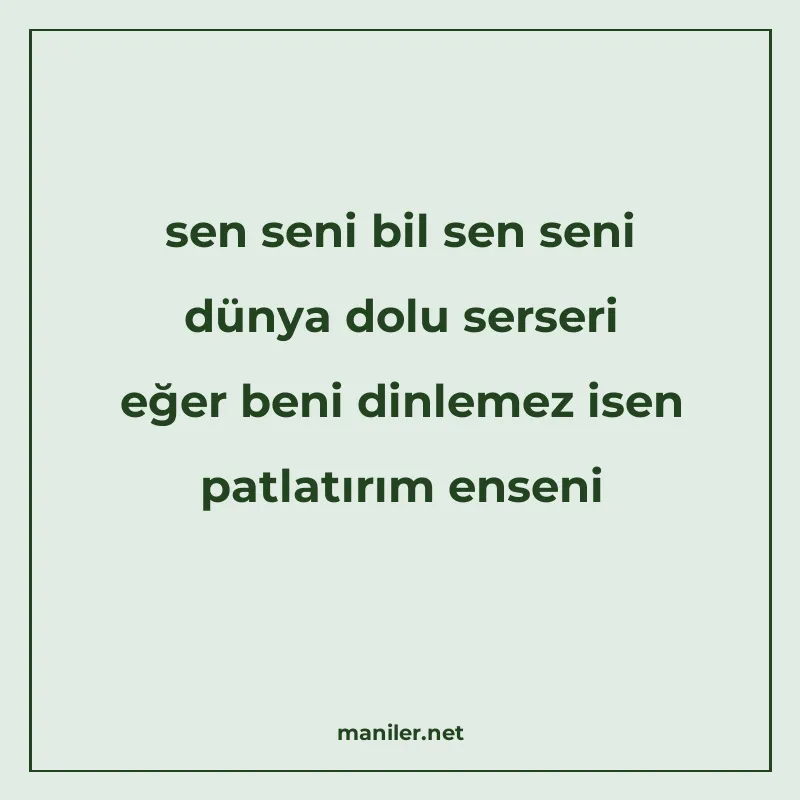 sen seni bil sen seni dünya dolu serseri eğer beni dinlemez manisi görseli