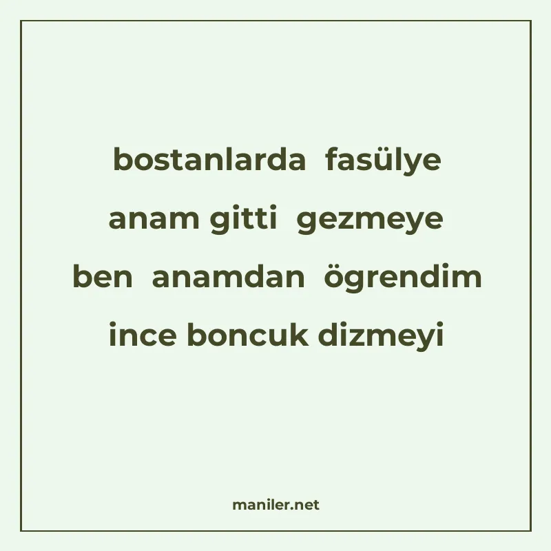 bostanlarda fasülye anam gitti gezmeye ben anamdan ögrendim manisi görseli