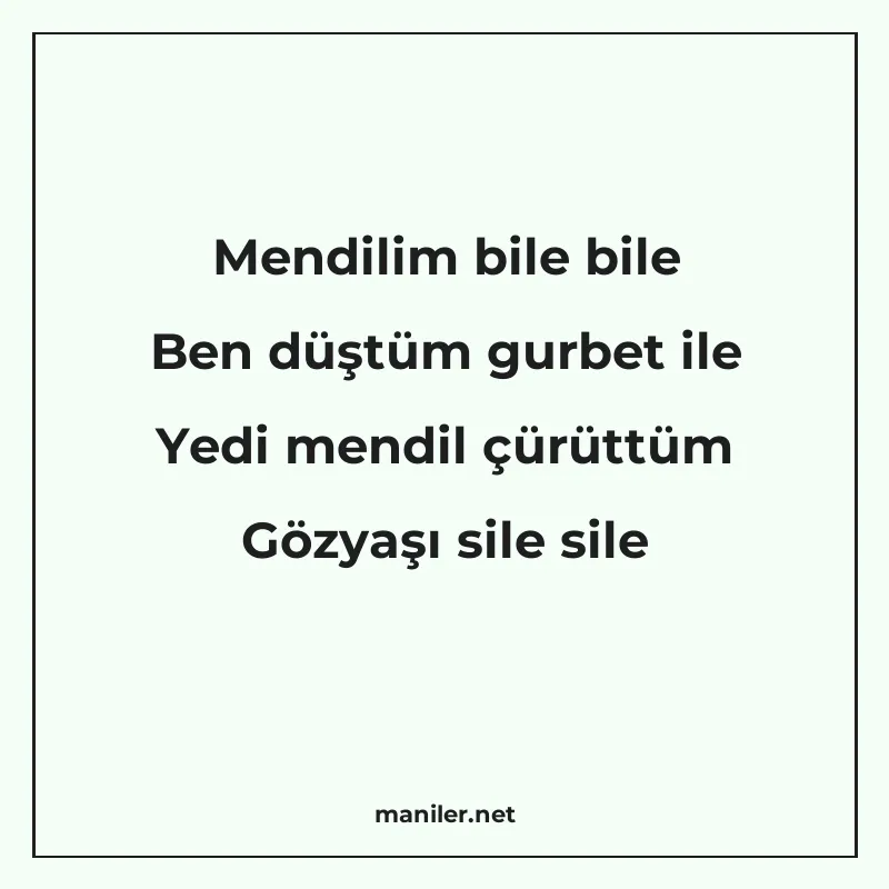 Mendilim bile bile Ben düştüm gurbet ile Yedi mendil çürüttü manisi görseli