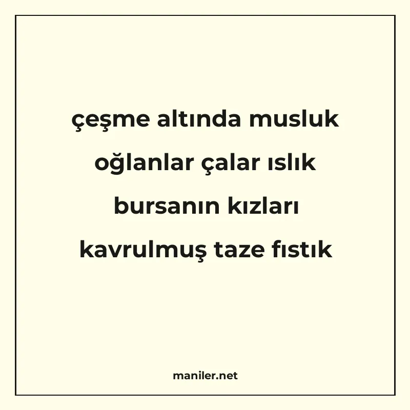çeşme altında musluk oğlanlar çalar ıslık bursanın kızları k manisi görseli
