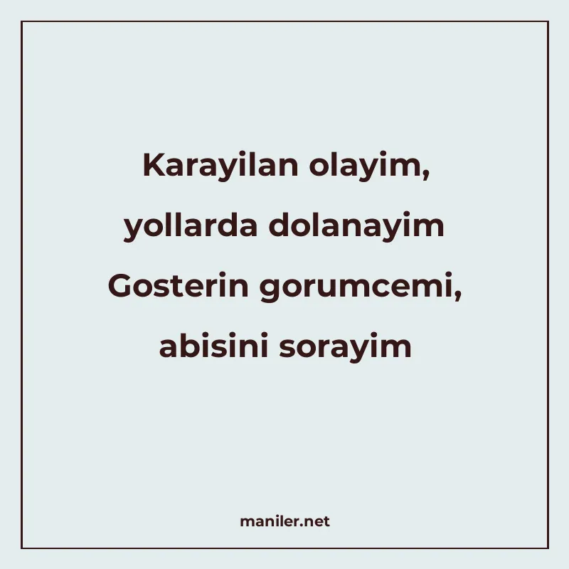 Karayilan olayim, yollarda dolanayim Gosterin gorumcemi, abi manisi görseli