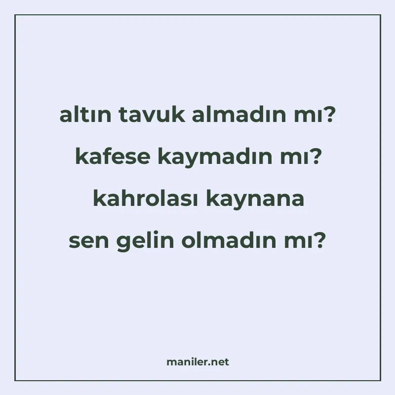 altın tavuk almadın mı? kafese kaymadın mı? kahrolası kaynan manisi görseli