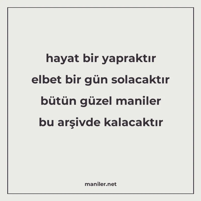 hayat bir yapraktır elbet bir gün solacaktır bütün güzel man manisi görseli