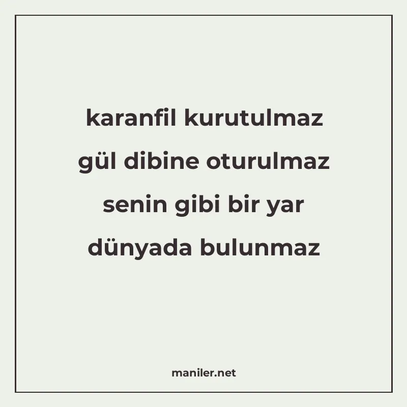 karanfil kurutulmaz gül dibine oturulmaz senin gibi bir yar manisi görseli