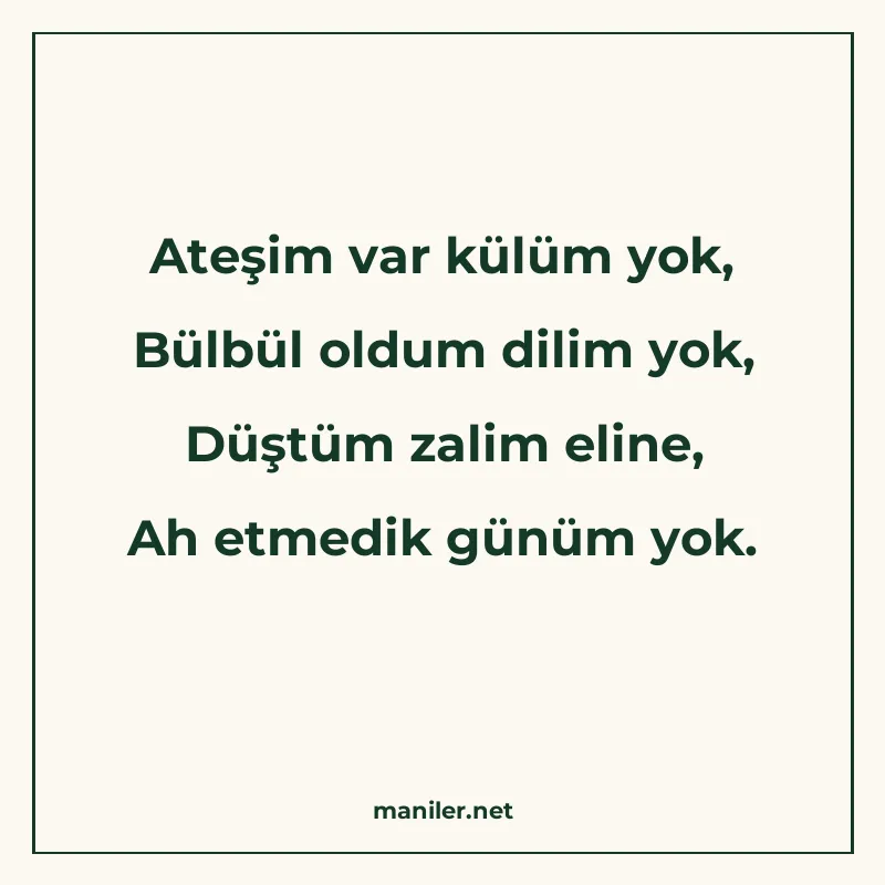 Ateşim var külüm yok, Bülbül oldum dilim yok, Düştüm zalim e manisi görseli