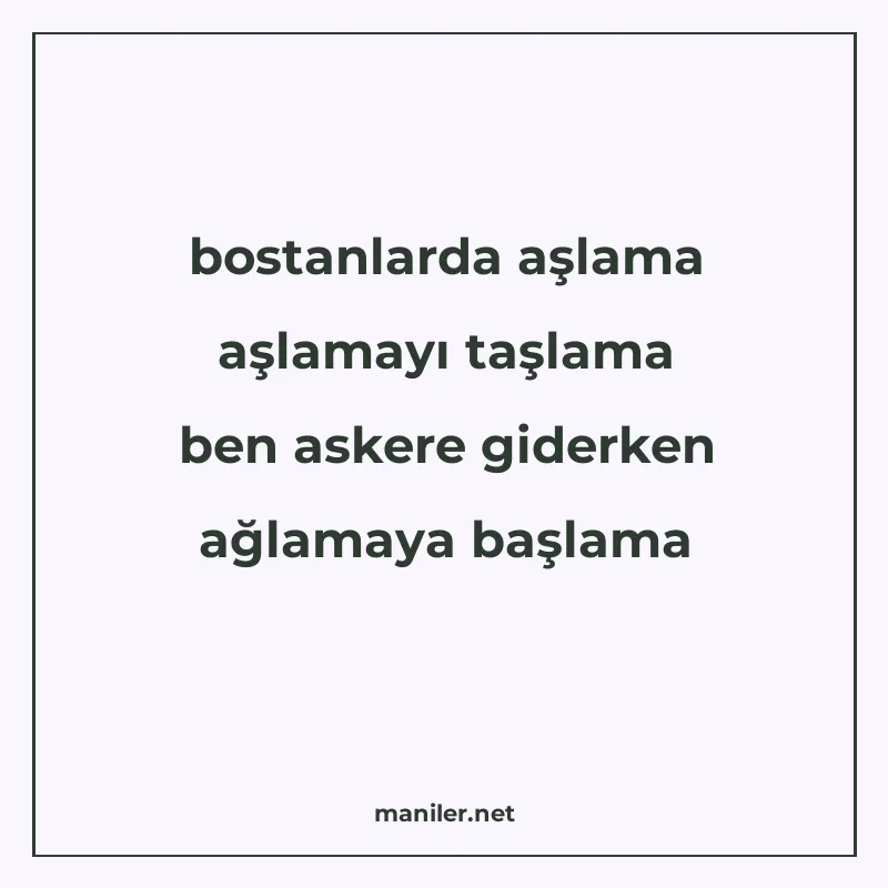 bostanlarda aşlama aşlamayı taşlama ben askere giderken ağla manisi görseli