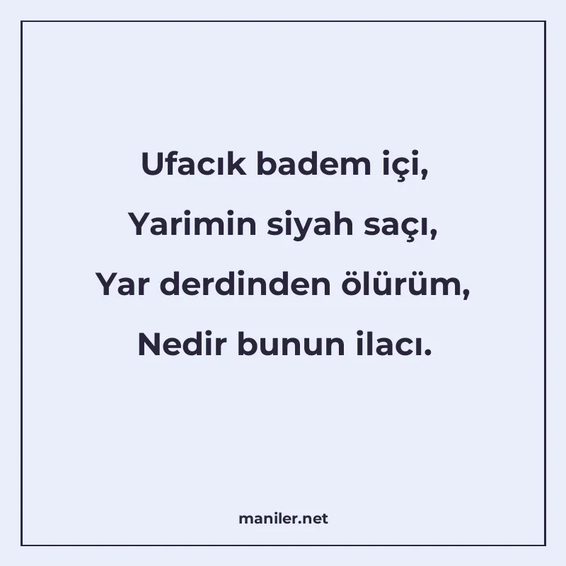 Ufacık badem içi, Yarimin siyah saçı, Yar derdinden ölürüm manisi görseli