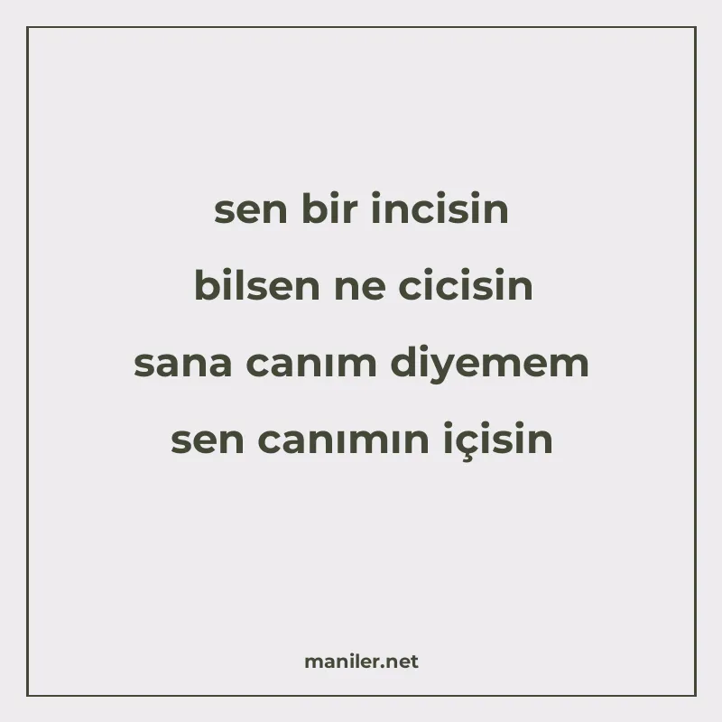 sen bir incisin bilsen ne cicisin sana canım diyemem sen can manisi görseli
