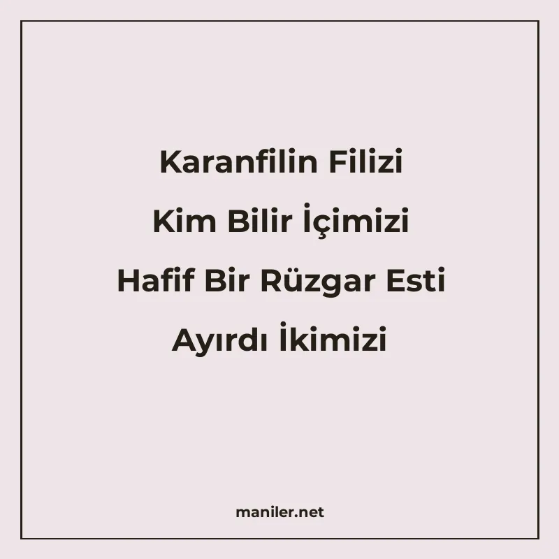 Karanfilin Filizi Kim Bilir İçimizi Hafif Bir Rüzgar Esti Ay manisi görseli