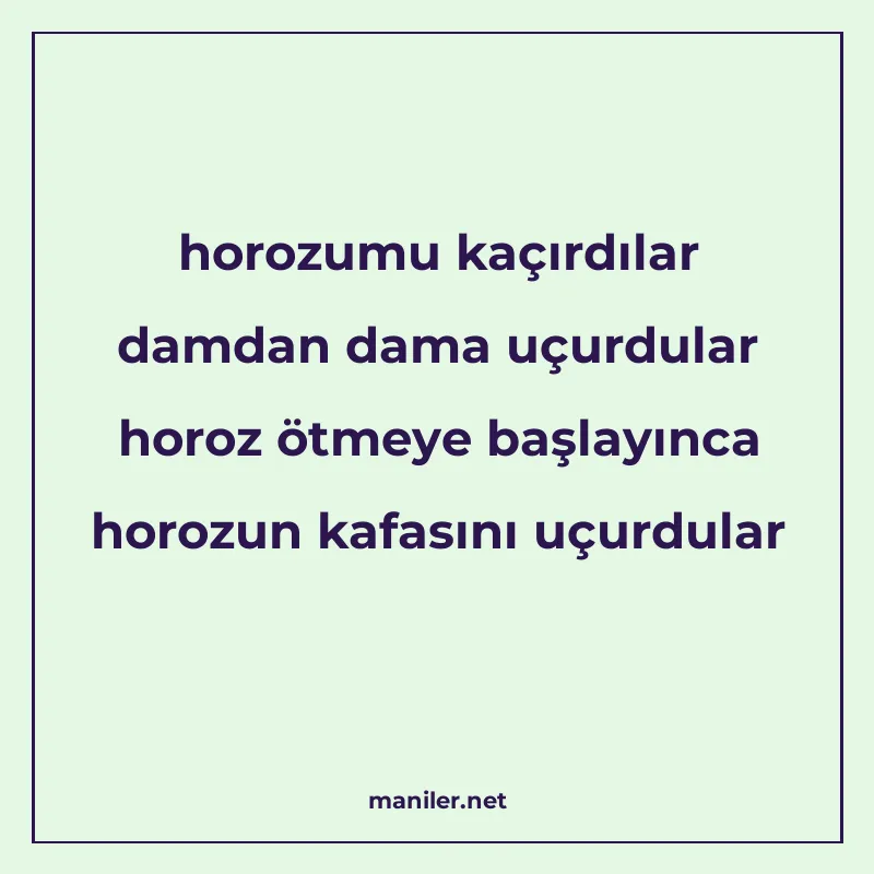horozumu kaçırdılar damdan dama uçurdular horoz ötmeye başla manisi görseli