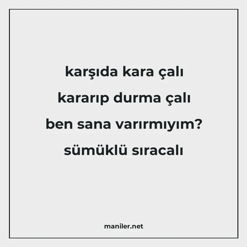 karşıda kara çalı kararıp durma çalı ben sana varırmıyım? sü manisi görseli