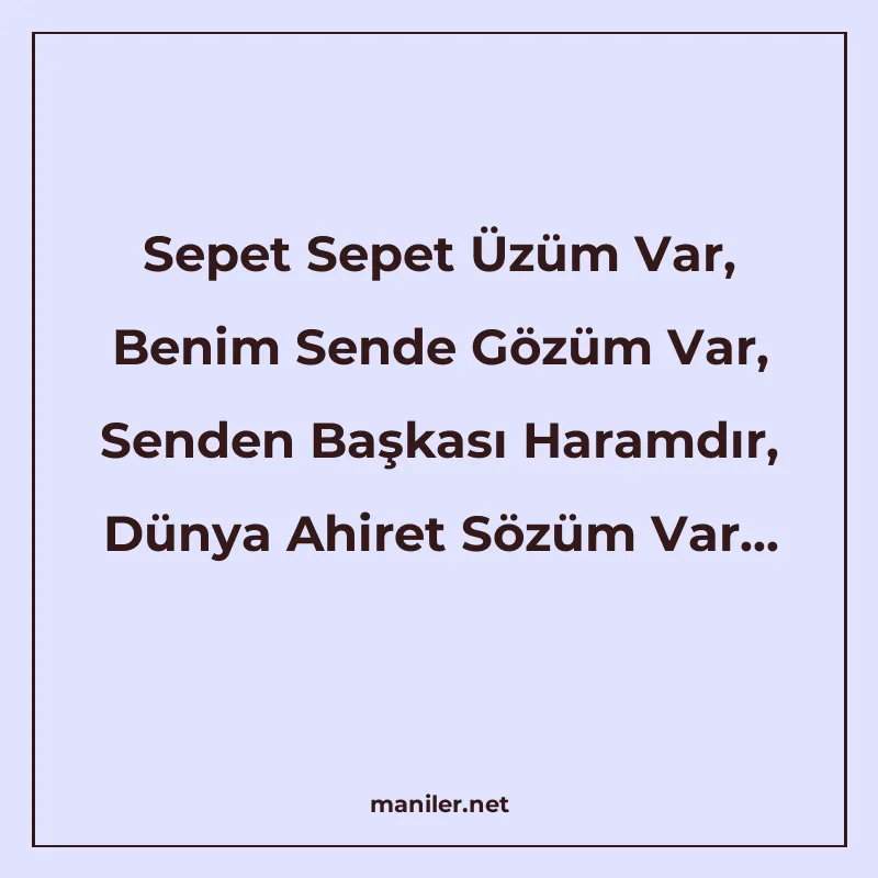 Sepet Sepet Üzüm Var, Benim Sende Gözüm Var, Senden Başkası manisi görseli