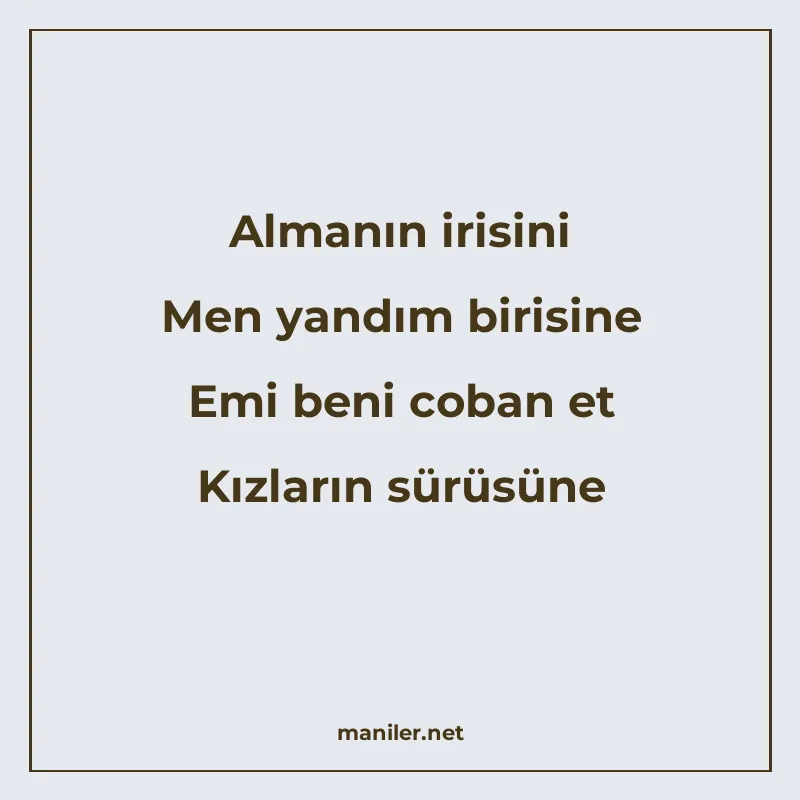 Almanın irisini Men yandım birisine Emi beni coban et Kızlar manisi görseli