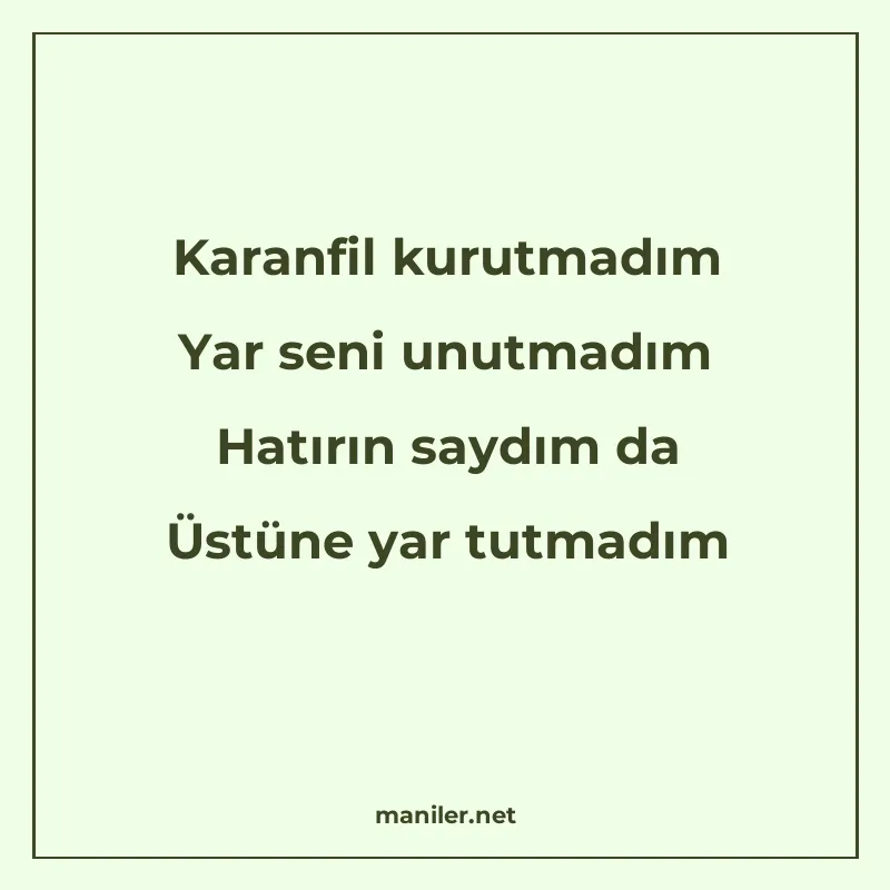 Karanfil kurutmadım Yar seni unutmadım Hatırın saydım da Üst manisi görseli
