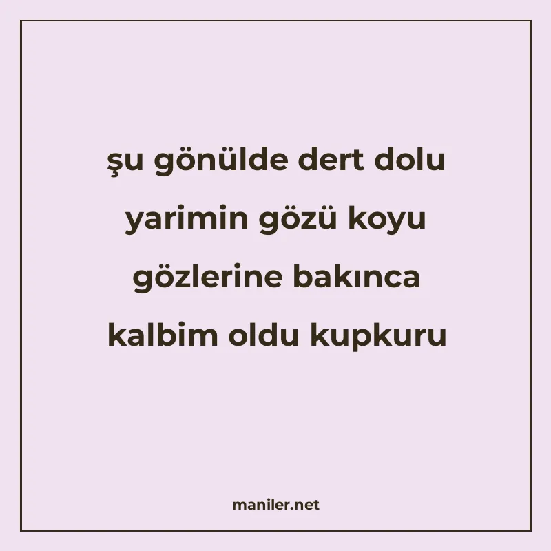 şu gönülde dert dolu yarimin gözü koyu gözlerine bakınca kal manisi görseli