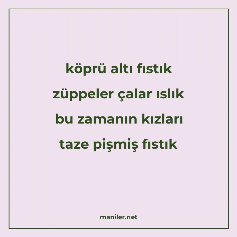 köprü altı fıstık züppeler çalar ıslık bu zamanın kızları ta manisi görseli