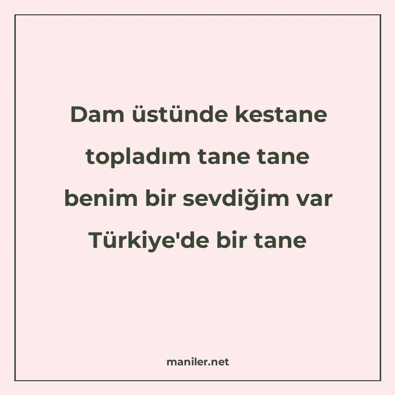 Dam üstünde kestane topladım tane tane benim bir sevdiğim va manisi görseli