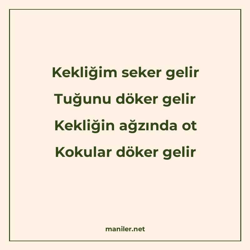 Kekliğim seker gelir Tuğunu döker gelir Kekliğin ağzında ot manisi görseli