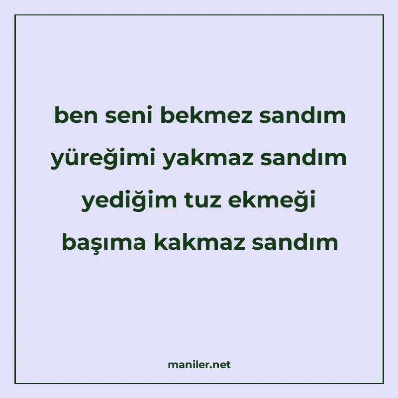 ben seni bekmez sandım yüreğimi yakmaz sandım yediğim tuz ek manisi görseli