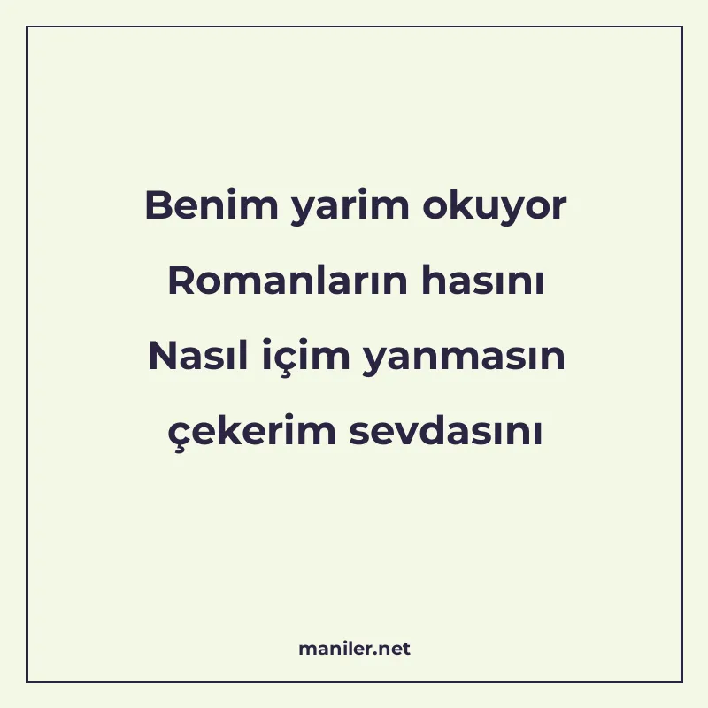 Benim yarim okuyor Romanların hasını Nasıl içim yanmasın çek manisi görseli