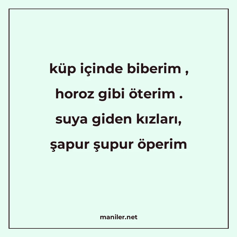 küp içinde biberim , horoz gibi öterim . suya giden kızları manisi görseli