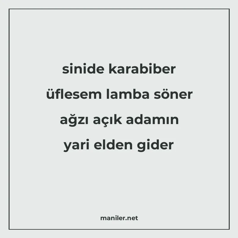 sinide karabiber üflesem lamba söner ağzı açık adamın yari e manisi görseli