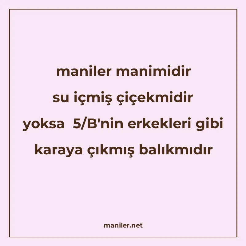 maniler manimidir su içmiş çiçekmidir yoksa 5/B'nin erkekler manisi görseli
