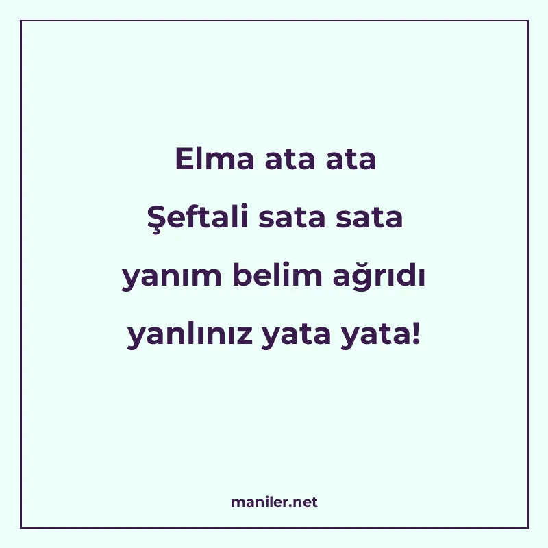 Elma ata ata Şeftali sata sata yanım belim ağrıdı yanlınız y manisi görseli