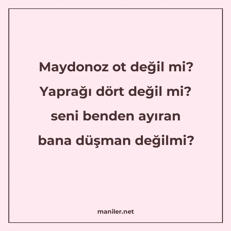 Maydonoz ot değil mi? Yaprağı dört değil mi? seni benden ayı manisi görseli