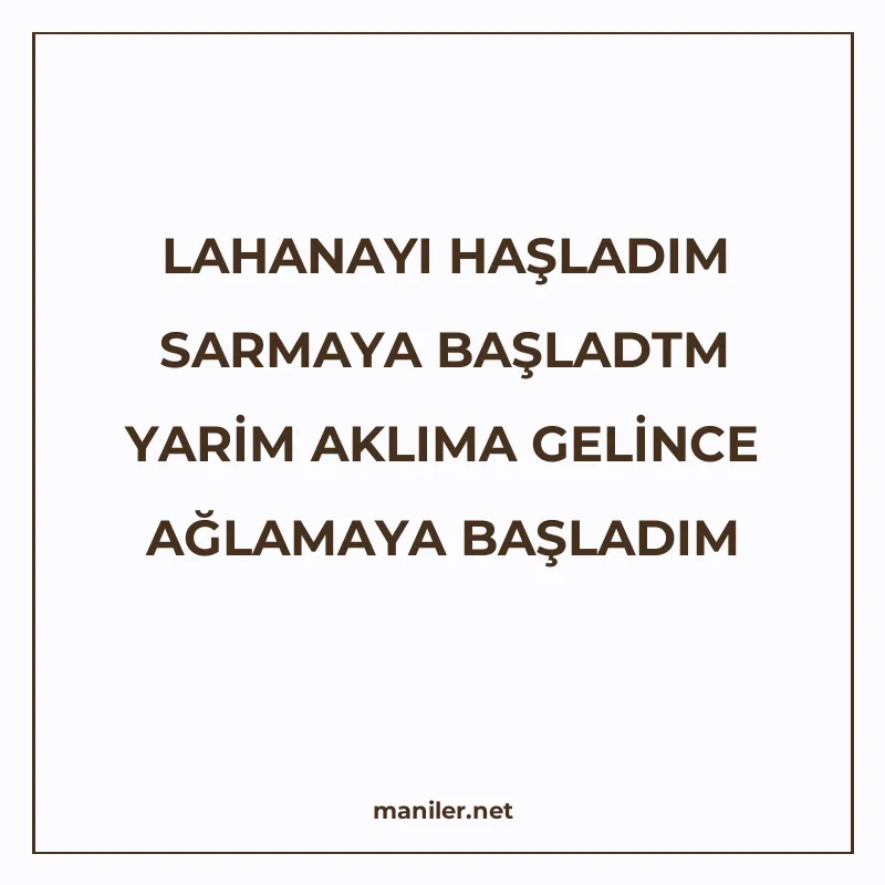 LAHANAYI HAŞLADIM SARMAYA BAŞLADTM YARİM AKLIMA GELİNCE AĞLA manisi görseli
