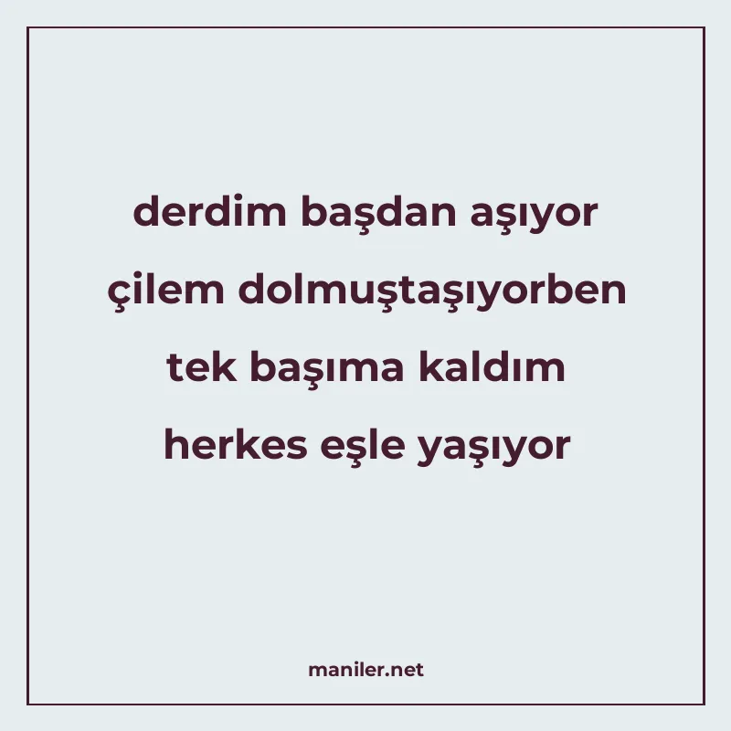 derdim başdan aşıyor çilem dolmuştaşıyorben tek başıma kaldı manisi görseli