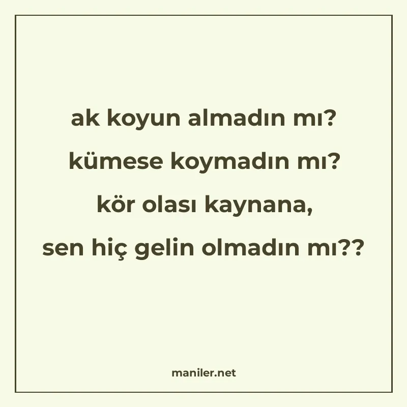 ak koyun almadın mı? kümese koymadın mı? kör olası kaynana manisi görseli