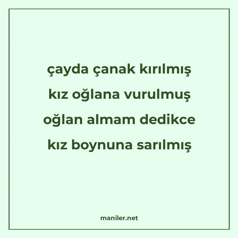 çayda çanak kırılmış kız oğlana vurulmuş oğlan almam dedikce manisi görseli