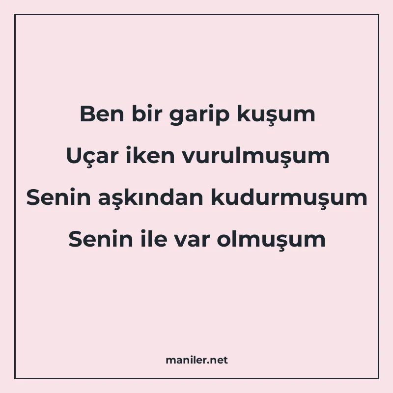 Ben bir garip kuşum Uçar iken vurulmuşum Senin aşkından kudu manisi görseli