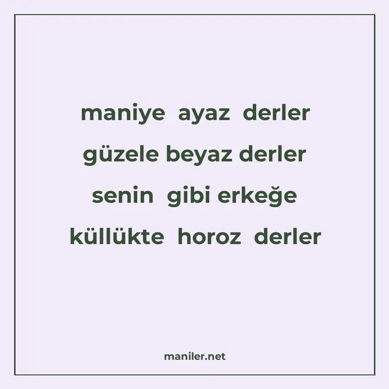 maniye ayaz derler güzele beyaz derler senin gibi erkeğe kül manisi görseli