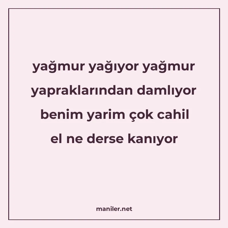 yağmur yağıyor yağmur yapraklarından damlıyor benim yarim ço manisi görseli