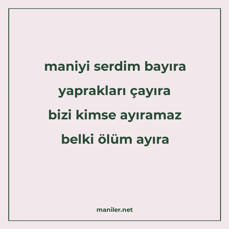 maniyi serdim bayıra yaprakları çayıra bizi kimse ayıramaz b manisi görseli