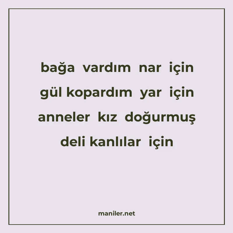 bağa vardım nar için gül kopardım yar için anneler kız doğur manisi görseli