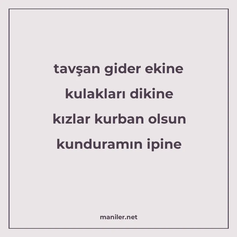 tavşan gider ekine kulakları dikine kızlar kurban olsun kund manisi görseli