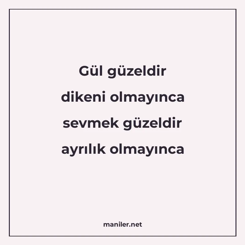 Gül güzeldir dikeni olmayınca sevmek güzeldir ayrılık olmayı manisi görseli