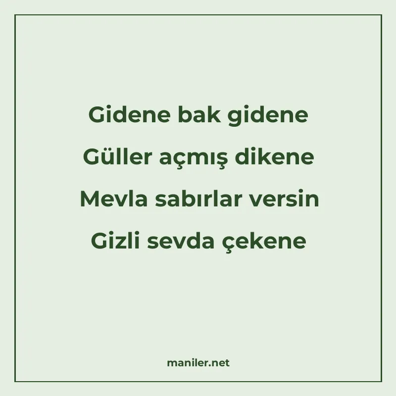 Gidene bak gidene Güller açmış dikene Mevla sabırlar versin manisi görseli