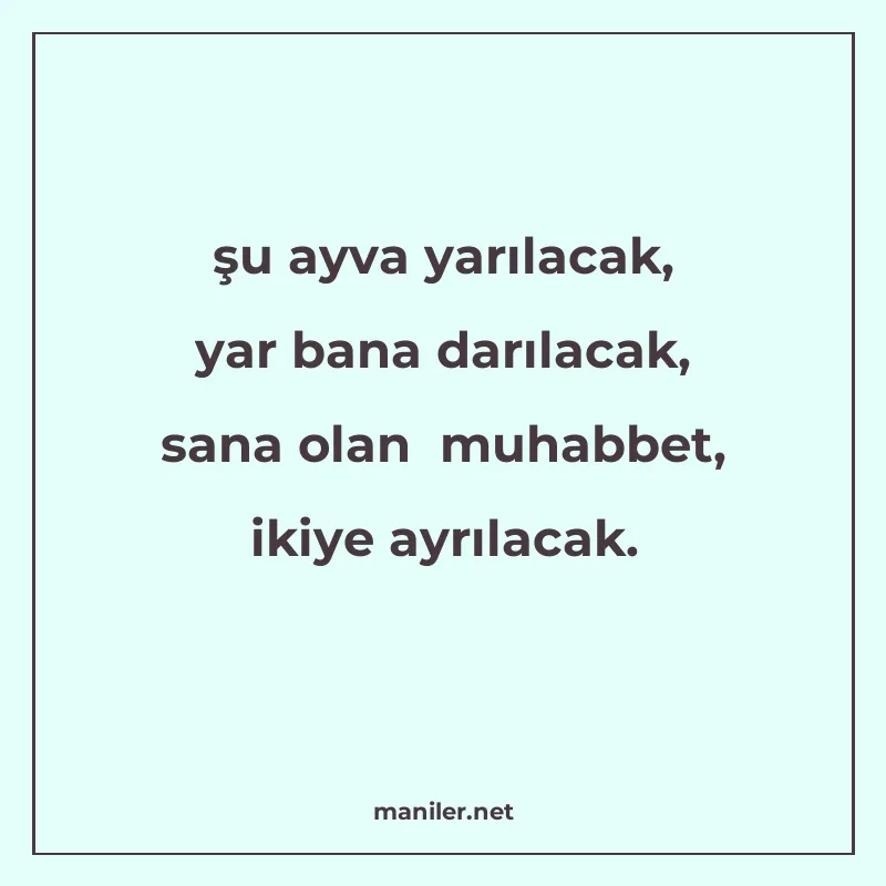 şu ayva yarılacak, yar bana darılacak, sana olan muhabbet, i manisi görseli