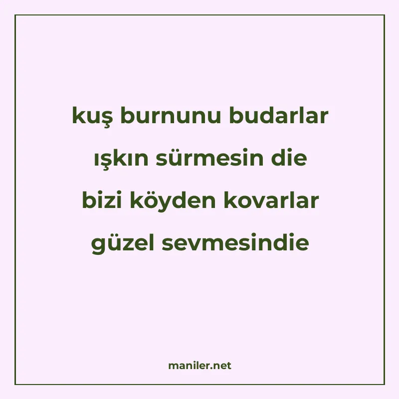 kuş burnunu budarlar ışkın sürmesin die bizi köyden kovarlar manisi görseli